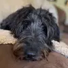 amygriggs04 - @amygriggs04 - TikTok