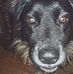 Amy Griswold - Facebook