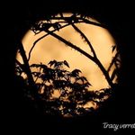 Amy Griswold - @amy.g1969 - Instagram