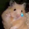 amyguan31 - @amyguan31 - TikTok