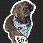 Amy Guel Monteiro - @amyandherhobbies - Instagram