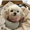amygupta - @amygupta001 - TikTok