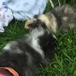 Amy Haese - @haeseamy - Instagram