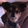 Amy Hale - @amy.hale77 - TikTok