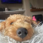 Amy Halls - @amyy_halls - Instagram