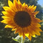 amy hamer - @hamer5784 - Instagram
