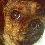 Amy Hanneman - @surgytech - Instagram