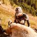 Amy Hanneman - Facebook