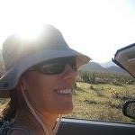 Amy Shapley Harbison - @amyharbi - Instagram