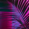 amyharbison59 - @fairy13456 - TikTok