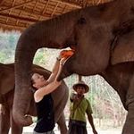 Amy Hardie - @hardieam - Instagram