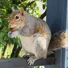 Amy Hardman - @amy.hardman1 - TikTok