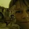 amyhardman404 - @amyhardman404 - TikTok