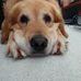 Amy Harkins - Facebook