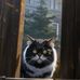 Amy Harke - Facebook