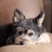 Amy Harless Miller - Facebook