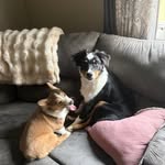 Amy Harless Miller - @amymiller.10 - Instagram