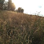 Amy Harley - @a_conservation2 - Instagram