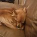 Amy Harner - Facebook