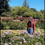 Amy Haro - @haro6501 - Instagram