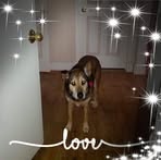 Amy Harshbarger - Facebook