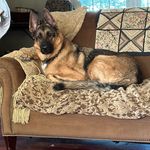 Amy Harshbarger - @amyjo.harshbarger - Instagram