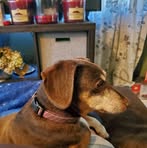 Amy Harshbarger - Facebook
