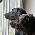 Amy Harshman - @amy_harshman - Instagram