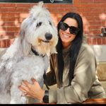 Amy Harte Wampler - @amy_wampler81 - Instagram