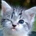 Amy Hashim - Facebook