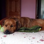 Amy Haskin - @haskin103 - Instagram