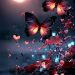 Amy Haskins - Facebook