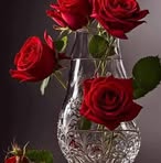 Amy Haskins - Facebook