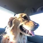 Amy Napier Hasselbring - @hasselbringamy - Instagram