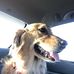 Amy Napier Hasselbring - Facebook