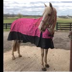 Melodys Amy - @hasten_amy - Instagram