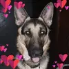 Amy Hatcher785 - @amyhatcher49 - TikTok