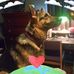 Amy Hatcher - Facebook