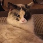 Amy Hatmaker - @amyhatmaker - Instagram