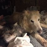 Amy Hatton - @achatton123 - Instagram