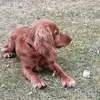 amyhatton503 - @amyhatton503 - TikTok