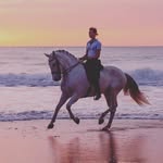 Amy - @amy_haus_stein_ - Instagram