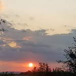 Amy Hauser - @amy.hauser.102 - Instagram