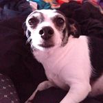 Amy Hawkinson - @hawkinson5584 - Instagram