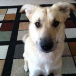 Amy Heflin - @amy.heflin.3 - Instagram
