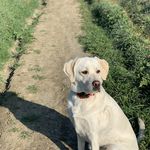 Amy Hemphill - @thesimplehappyproject - Instagram