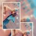 Amy Hendricks - Facebook