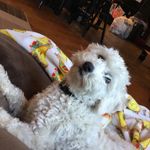 Amy - @amy_hertenstein - Instagram