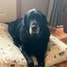 Amy Heuer - Facebook