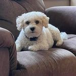 Amy Heuer - @amy_heuer - Instagram